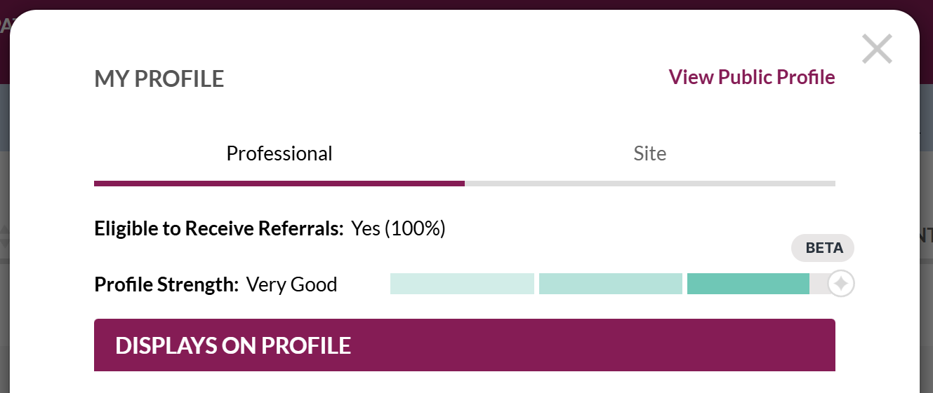Maintaining Your Professional and Site Profile